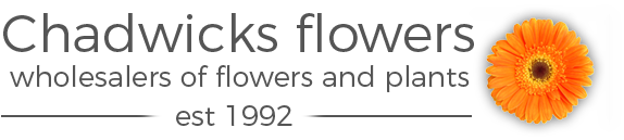 Home | Chadwicks Wholesale Flowers | Tydd St Mary, Wisbech | Cambridgeshire